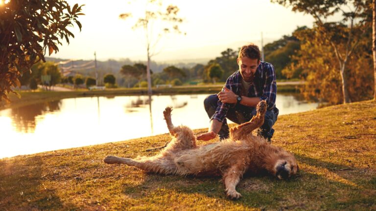 14 Ways Dogs Show They Fully Trust You